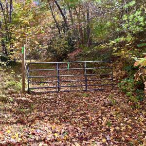 Photo #15 of SOLD property in Off Pole Bridge Rd, Stuart, VA 35.9 acres