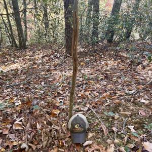 Photo #29 of SOLD property in Off Pole Bridge Rd, Stuart, VA 35.9 acres