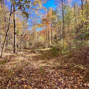 Photo #36 of SOLD property in Off Pole Bridge Rd, Stuart, VA 35.9 acres