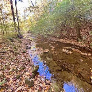Photo #44 of SOLD property in Off Pole Bridge Rd, Stuart, VA 35.9 acres