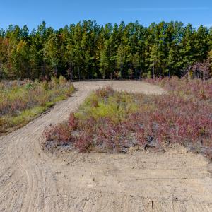 Photo #17 of SOLD property in Off Hughes Mill Road, Lot 5, Burlington, NC 6.0 acres