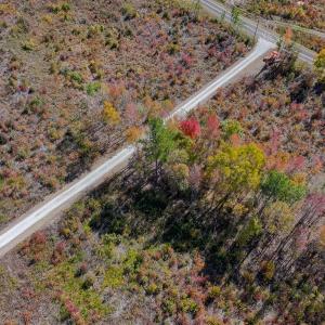 Photo #19 of SOLD property in Off Hughes Mill Road, Lot 5, Burlington, NC 6.0 acres