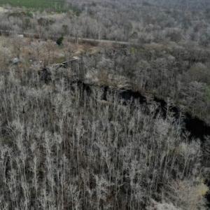Photo #4 of SOLD property in 1416 NC 45 S., Windsor, NC 20.0 acres