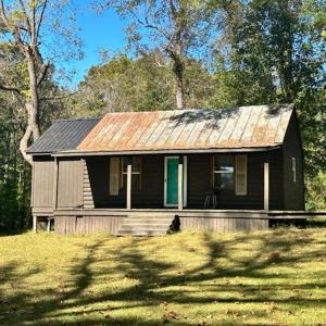 Photo #8 of SOLD property in 1416 NC 45 S., Windsor, NC 20.0 acres