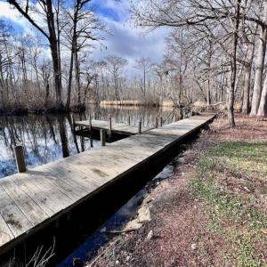 Photo #20 of SOLD property in 1416 NC 45 S., Windsor, NC 20.0 acres