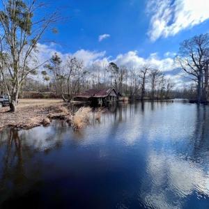 Photo #22 of SOLD property in 1416 NC 45 S., Windsor, NC 20.0 acres