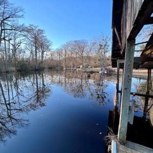 Photo #23 of SOLD property in 1416 NC 45 S., Windsor, NC 20.0 acres