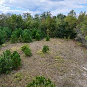 Photo #11 of SOLD property in Off Old Washington Road, Washington, NC 4.0 acres