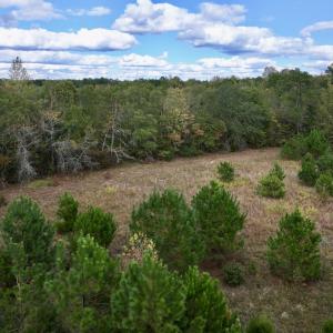 Photo #13 of SOLD property in Off Old Washington Road, Washington, NC 4.0 acres