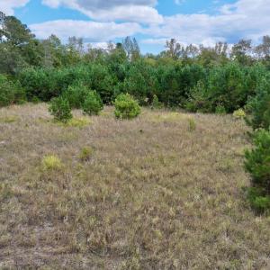 Photo #14 of SOLD property in Off Old Washington Road, Washington, NC 4.0 acres