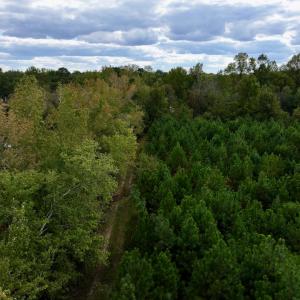 Photo #16 of SOLD property in Off Old Washington Road, Washington, NC 4.0 acres