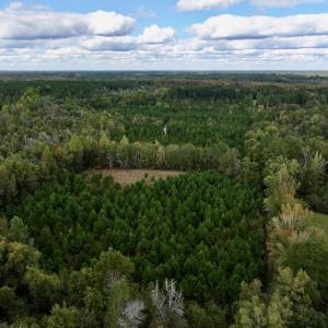 Photo #3 of SOLD property in Off Old Washington Road, Washington, NC 4.0 acres