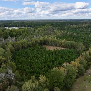 Photo #4 of SOLD property in Off Old Washington Road, Washington, NC 4.0 acres