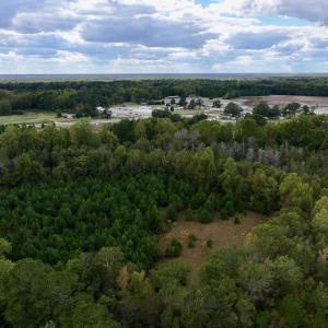 Photo #6 of SOLD property in Off Old Washington Road, Washington, NC 4.0 acres