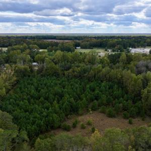 Photo #7 of SOLD property in Off Old Washington Road, Washington, NC 4.0 acres