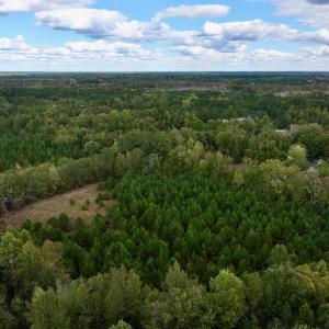 Photo #10 of SOLD property in Off Old Washington Road, Washington, NC 4.0 acres