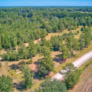 Photo #10 of SOLD property in Off Clark Road , Bladenboro, NC 6.0 acres