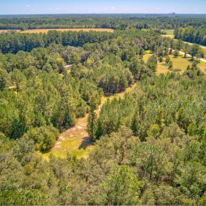 Photo #13 of SOLD property in Off Clark Road , Bladenboro, NC 6.0 acres