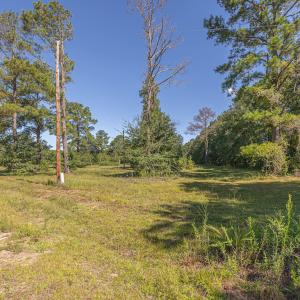 Photo #19 of SOLD property in Off Clark Road , Bladenboro, NC 6.0 acres