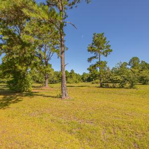 Photo #21 of SOLD property in Off Clark Road , Bladenboro, NC 6.0 acres