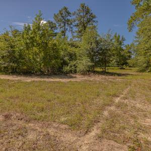 Photo #24 of SOLD property in Off Clark Road , Bladenboro, NC 6.0 acres