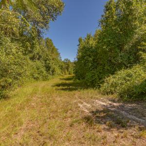 Photo #25 of SOLD property in Off Clark Road , Bladenboro, NC 6.0 acres