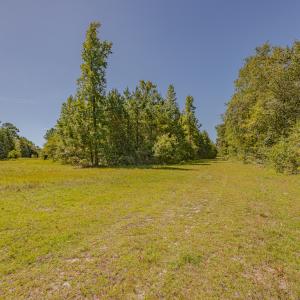 Photo #26 of SOLD property in Off Clark Road , Bladenboro, NC 6.0 acres