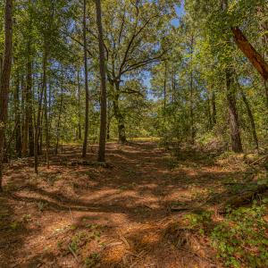 Photo #28 of SOLD property in Off Clark Road , Bladenboro, NC 6.0 acres