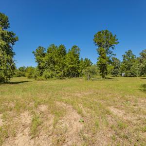 Photo #29 of SOLD property in Off Clark Road , Bladenboro, NC 6.0 acres