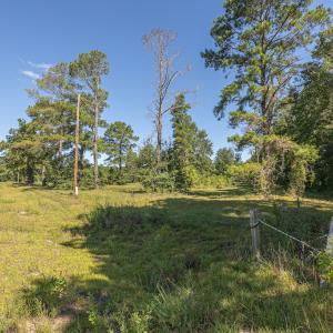 Photo #30 of SOLD property in Off Clark Road , Bladenboro, NC 6.0 acres