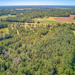 Photo #5 of SOLD property in Off Clark Road , Bladenboro, NC 6.0 acres