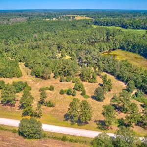Photo #8 of SOLD property in Off Clark Road , Bladenboro, NC 6.0 acres