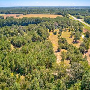 Photo #12 of SOLD property in Off Clark Road , Bladenboro, NC 10.7 acres