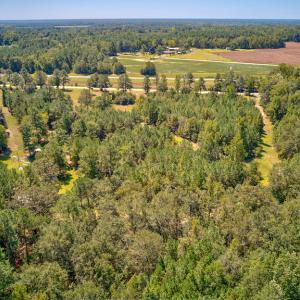 Photo #14 of SOLD property in Off Clark Road , Bladenboro, NC 10.7 acres