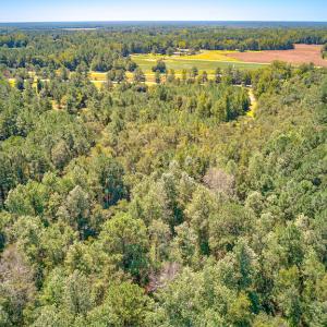 Photo #15 of SOLD property in Off Clark Road , Bladenboro, NC 10.7 acres