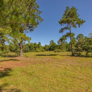 Photo #20 of SOLD property in Off Clark Road , Bladenboro, NC 10.7 acres