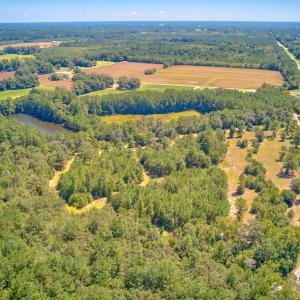 Photo #4 of SOLD property in Off Clark Road , Bladenboro, NC 10.7 acres