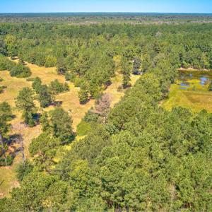 Photo #7 of SOLD property in Off Clark Road , Bladenboro, NC 10.7 acres