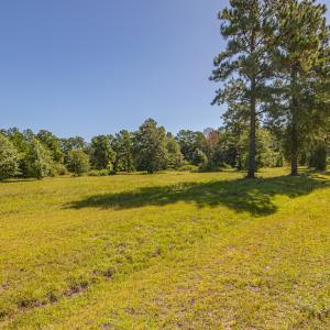 Photo #21 of SOLD property in Off Clark Road , Bladenboro, NC 10.7 acres