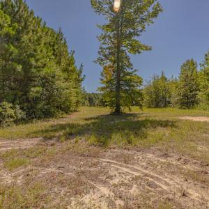 Photo #24 of SOLD property in Off Clark Road , Bladenboro, NC 10.7 acres