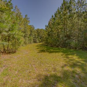 Photo #26 of SOLD property in Off Clark Road , Bladenboro, NC 10.7 acres