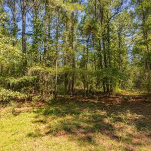 Photo #27 of SOLD property in Off Clark Road , Bladenboro, NC 10.7 acres