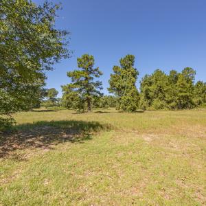 Photo #28 of SOLD property in Off Clark Road , Bladenboro, NC 10.7 acres
