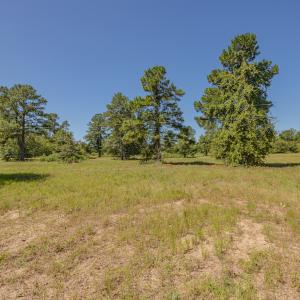 Photo #29 of Off Clark Road , Bladenboro, NC 10.7 acres