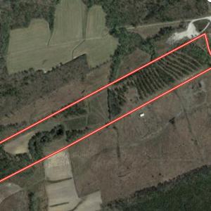 Photo #1 of SOLD property in 1315 NC 43 Hwy, Vanceboro, NC 33.2 acres