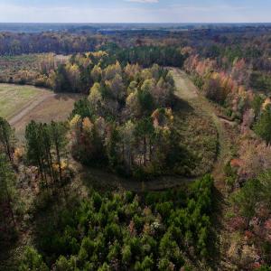 Photo #11 of SOLD property in 1315 NC 43 Hwy, Vanceboro, NC 33.2 acres