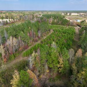 Photo #12 of SOLD property in 1315 NC 43 Hwy, Vanceboro, NC 33.2 acres