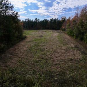 Photo #13 of SOLD property in 1315 NC 43 Hwy, Vanceboro, NC 33.2 acres