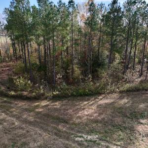 Photo #14 of SOLD property in 1315 NC 43 Hwy, Vanceboro, NC 33.2 acres