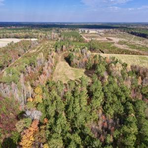 Photo #15 of SOLD property in 1315 NC 43 Hwy, Vanceboro, NC 33.2 acres